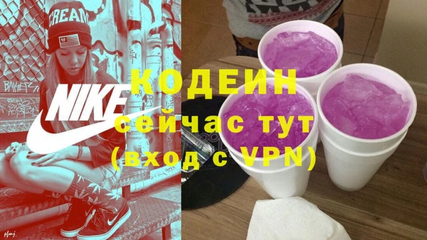 шишки Белокуриха