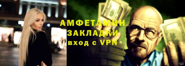 шишки Белокуриха