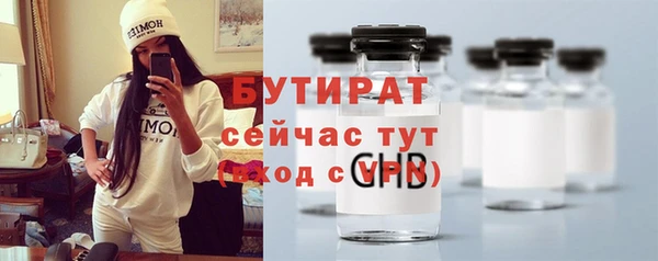 шишки Белокуриха