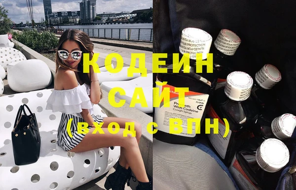 шишки Белокуриха