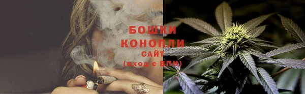 шишки Белокуриха