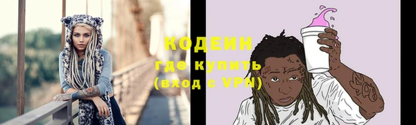 шишки Белокуриха