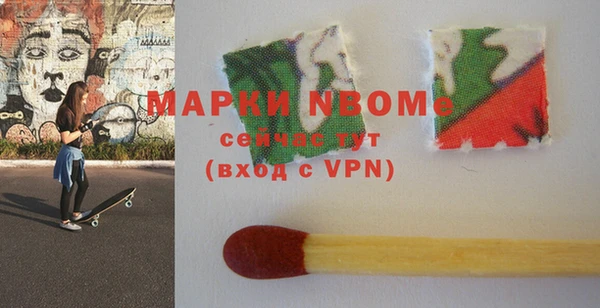 шишки Белокуриха