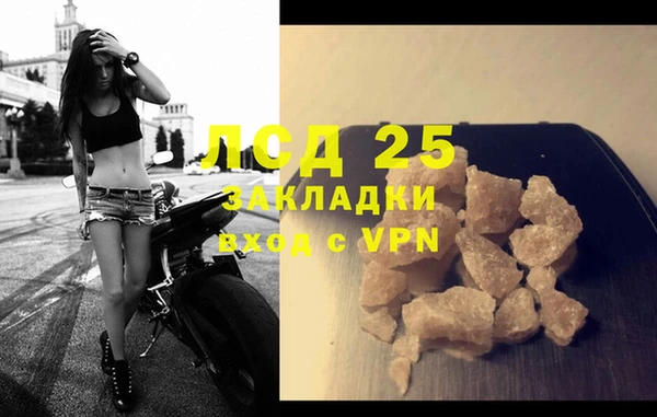 шишки Белокуриха