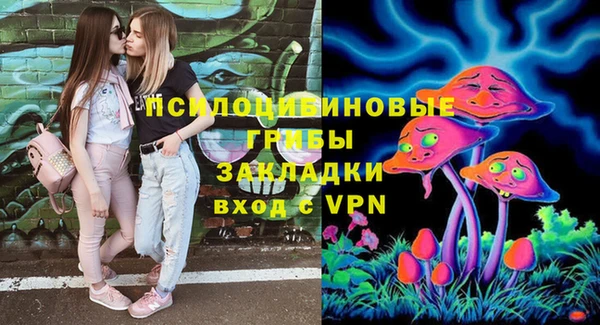 apvp Беломорск