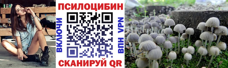 Псилоцибиновые грибы прущие грибы купить наркотики цена Кстово